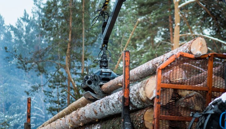 Foto: Scandinav Bildbyrå Maskin lyfter timmer