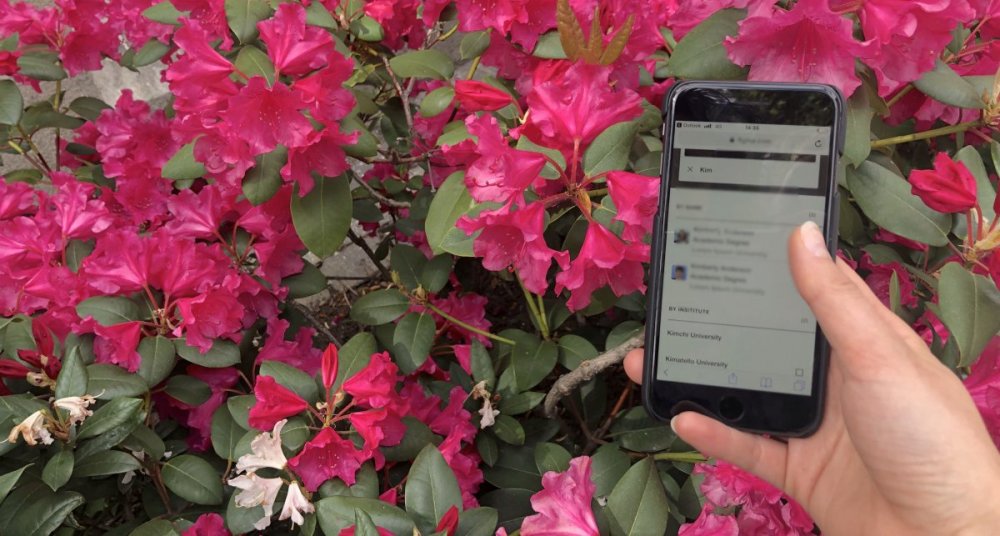 Prototype of Nordicom's new digital research platform: NordMedia Network 