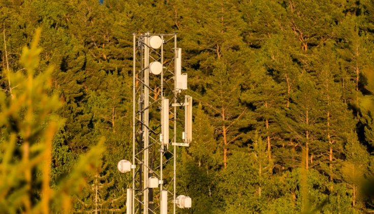 Telecom tower in Stockholm, surrounded by forest 